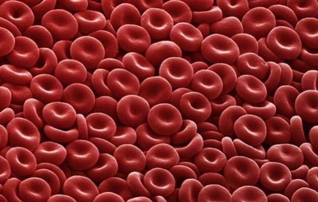Црвени крвни клетки